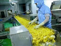 Chế biến thực phẩm GOC 7