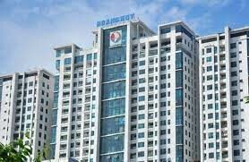 Octivo Việt Nam 10