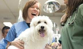 Virbac Vietnam Company Limited 3