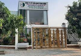 Bao Bì Bình Minh Group 5