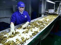 Chế biến thực phẩm GOC 6