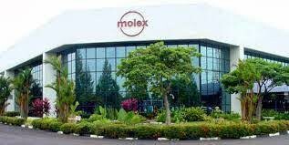 Molex 4