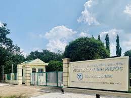 Giống Rau Quả Trung Ương 4