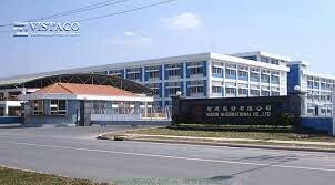 Vision International 5