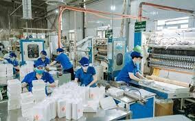 Nhà máy giấy Xương Giang 8