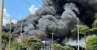 Hóa Chất Arirang 6