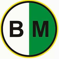 Bao Bì Bình Minh Group 1