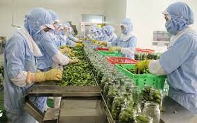 Chế biến thực phẩm GOC 2