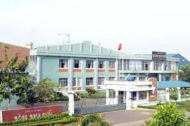 Bông Bạch Tuyết. 1