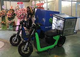 Điện Thông Minh Selex Motors 2