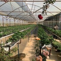 Dịch vụ Bất động sản MDA 3