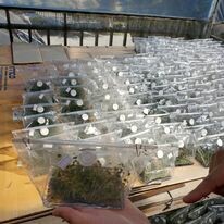 Dịch vụ Bất động sản MDA 5