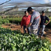 Dịch vụ Bất động sản MDA 4