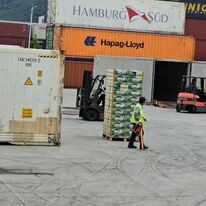 Nông Sản Chú Chín 3