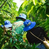 Nông Sản Chú Chín 5