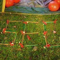 SEC - Sophia English Center 7