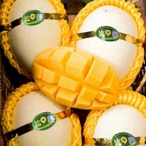 Nông Sản Chú Chín 7