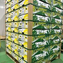 Nông Sản Chú Chín 9