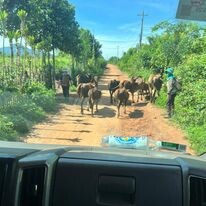 Nông Sản Chú Chín 11