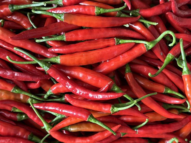 TM VÀ DV VIỆT QUANG 4