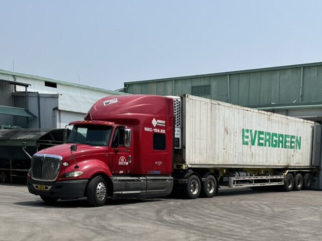 TM VÀ DV VIỆT QUANG 3