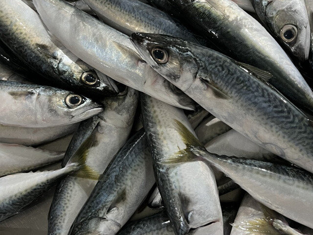 TM VÀ DV VIỆT QUANG 2