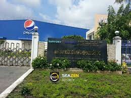 Cọc Ống Kiến Hoa - Đất Việt 5