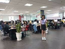 Công nghệ thông tin MF Việt Nam 18