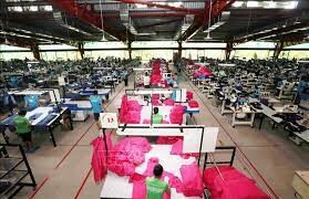 MAXPORT LIMITED (VIET NAM) 8