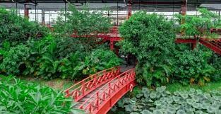 MAXPORT LIMITED (VIET NAM) 2