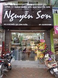 Công Ty TNHH Nguyễn Sơn 10