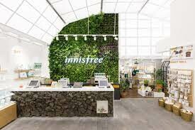Innisfree 6