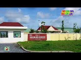 Công ty Cổ Phần Phân Bón và Hoá Chất Cần Thơ 4