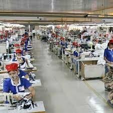 XUẤT NHẬP KHẨU HOÀNG ANH 7