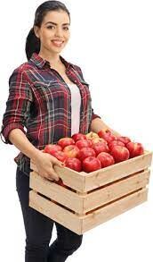 PHÚ NHUẬN FOOD 6