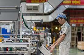 Bao bì Thăng Long 9