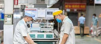 Bao bì Thăng Long 8