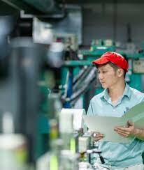 Bao bì Thăng Long 6