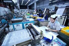 Bao bì Thăng Long 4