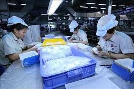 Bao bì Thăng Long 1