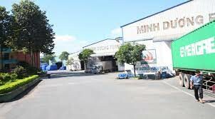 Gỗ Minh Dương 10