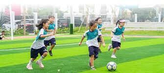 Westlink International 6