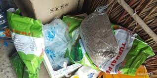 YUEHAI VIỆT NAM 11