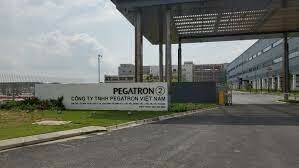 Pegatron Vietnam 6