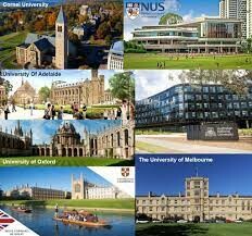 Sace Education Vietnam 14