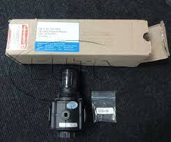 Thúy Mỹ Tư Việt Nam 2