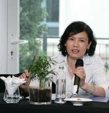 Thúy Mỹ Tư Việt Nam 13