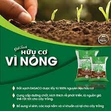 Công Ty TNHH Dasaco Hậu Giang 12