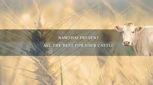 Công Ty TNHH Đầu Tư Và Phát Triển Nam Thái 1