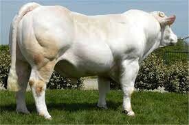 Công Ty TNHH Đầu Tư Và Phát Triển Nam Thái 16